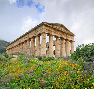 Ewiger Frühling auf Sizilien Ewiger Frühling auf Sizilien