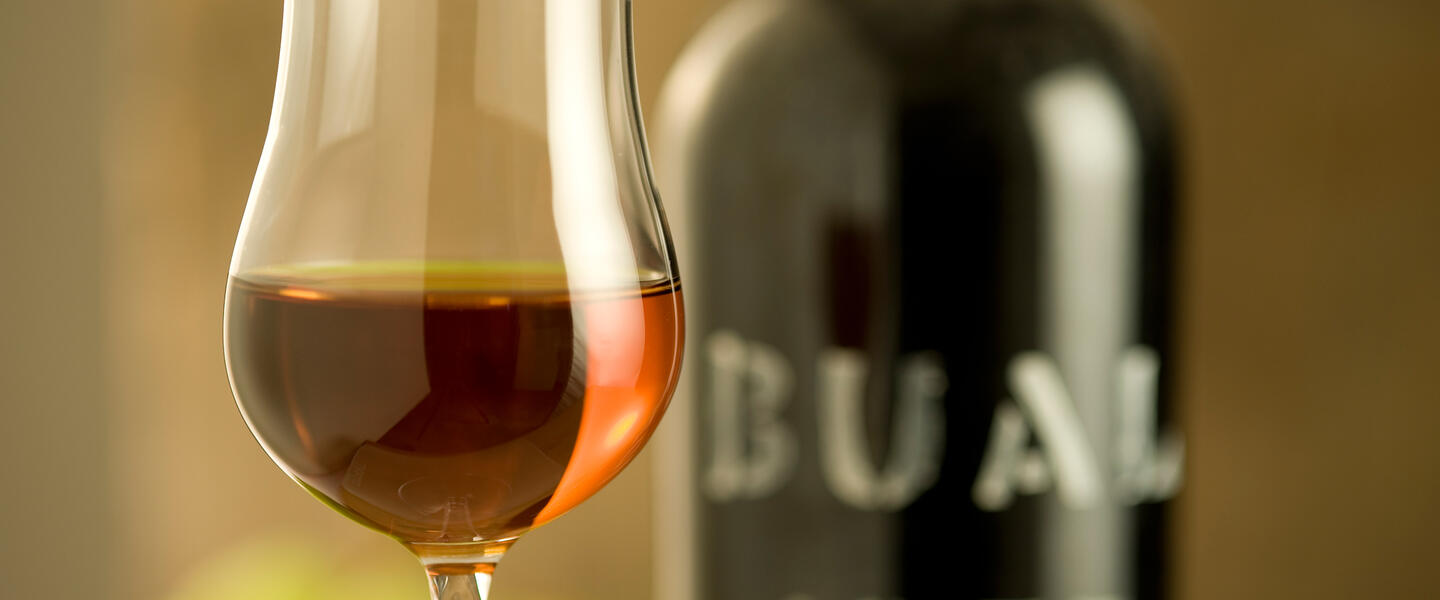 Nordportugal - Die grüne Oase Nordportugal - Die grüne Oase