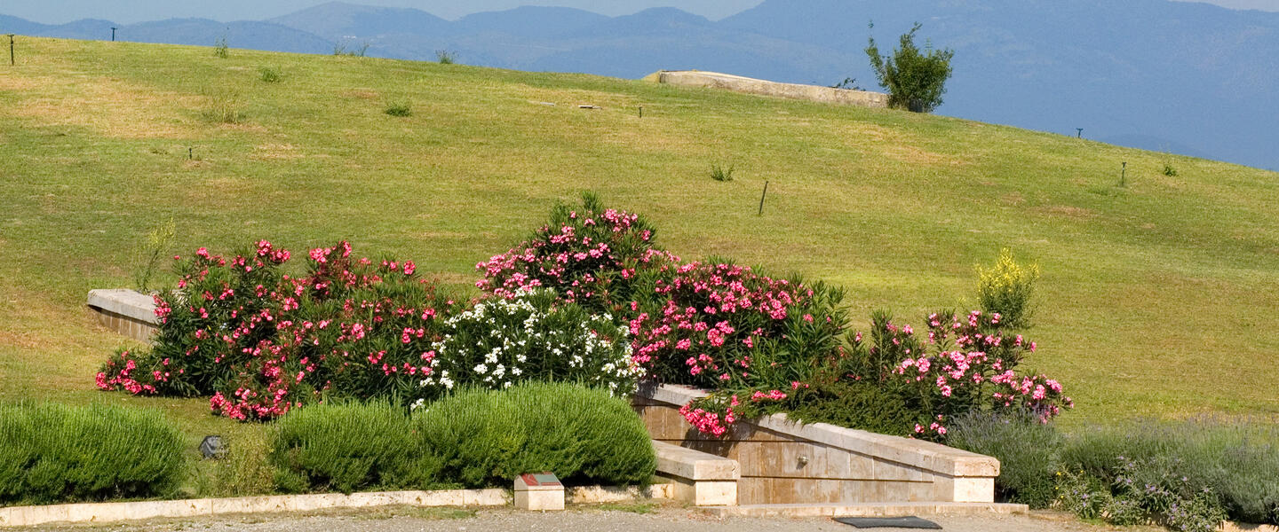 Griechenland ─ im Zeichen des Olymp