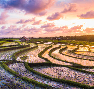 Indonesiens grüne Schätze - von West nach Ost