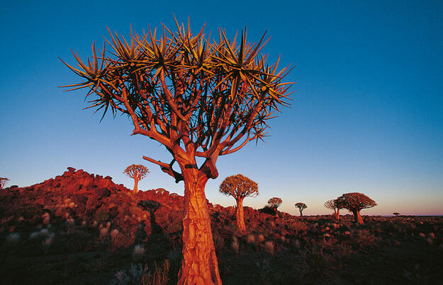Naturschätze im südlichen Afrika