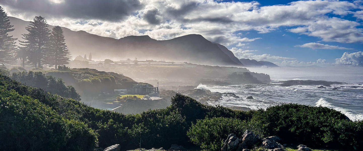 Rooibos Rhapsodie - Teezeit in Südafrika