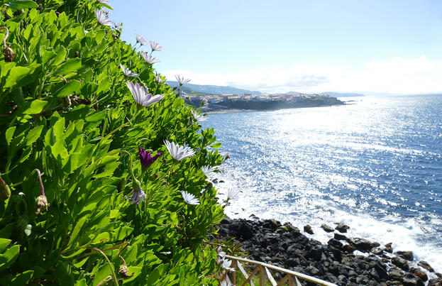 Azoren ─ schöne Grüne im Atlantik