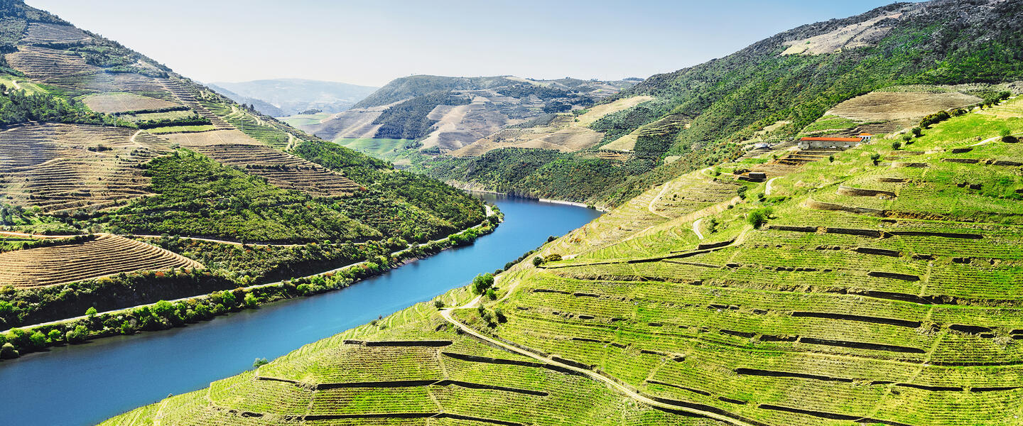 Nordportugal - Bezauberndes Porto und liebliches Douro Tal in der Kleingruppe entdecken