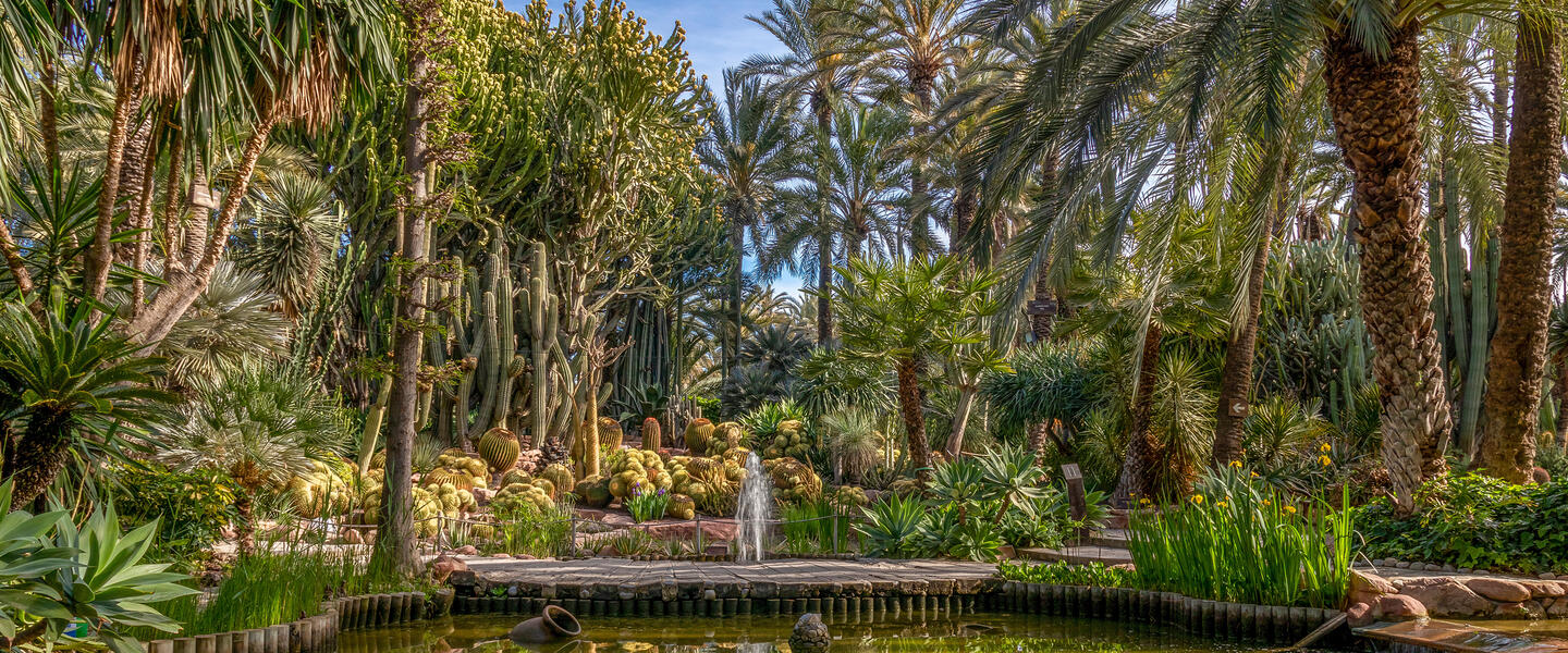 Entlang der Costa Blanca - "Paella, Palmen und Meer"