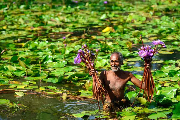 Der Zauber Sri Lankas