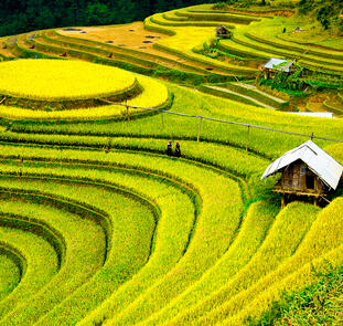Vietnam - Höhepunkte im Herzen Indochinas mit Meer