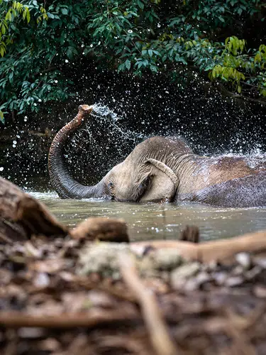 Kambodscha - von Angkor in den ursprünglichen Nordosten
