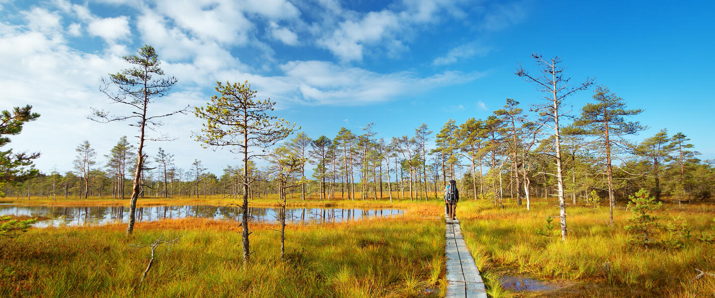 Estlands Inselwelten, Nationalparks und Moorlandschaften