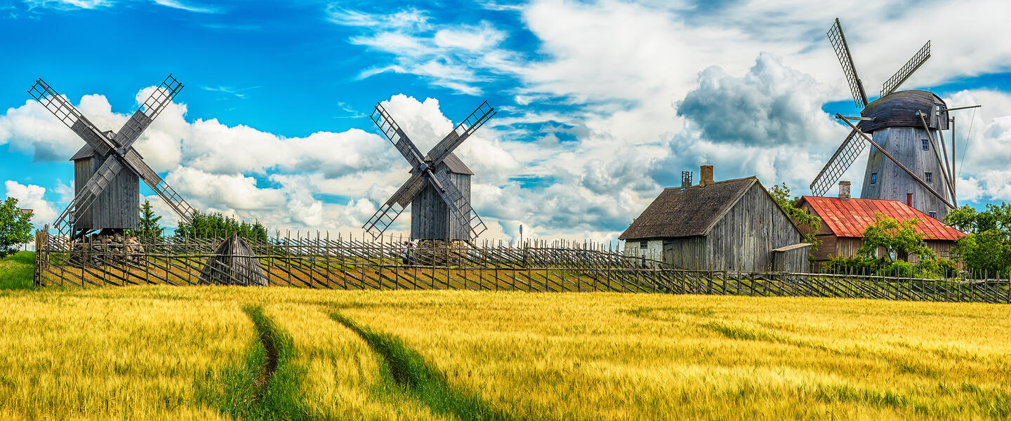 Estlands Inselwelten, Nationalparks und Moorlandschaften