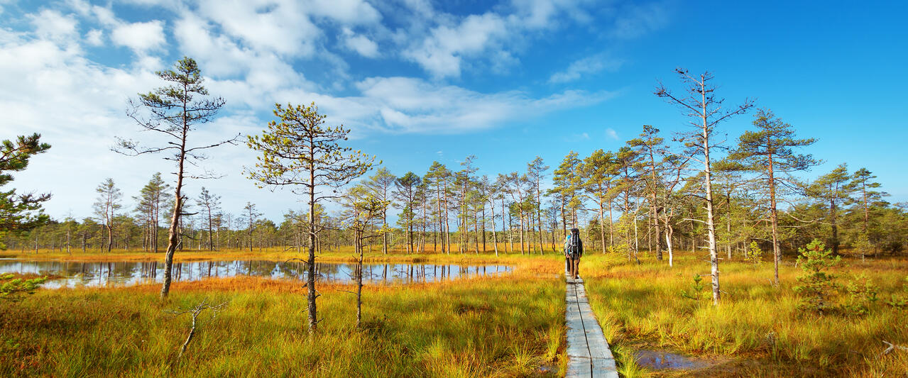Estlands Inselwelten, Nationalparks und Moorlandschaften