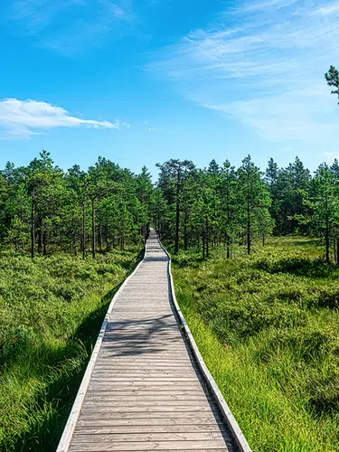 Wandern im Baltikum