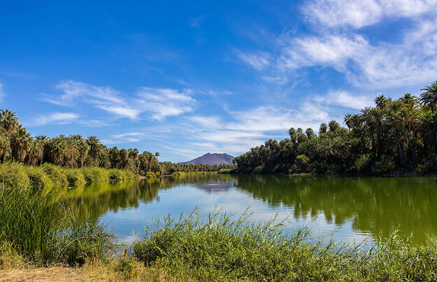 Baja California Sur - unbekanntes Naturparadies Baja California Sur - unbekanntes Naturparadies