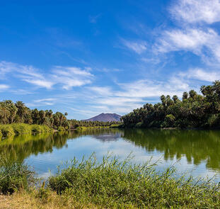 Baja California Sur - unbekanntes Naturparadies