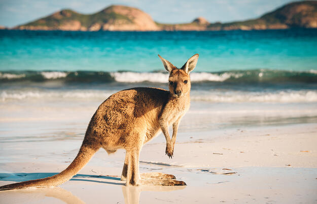 Australien in Style