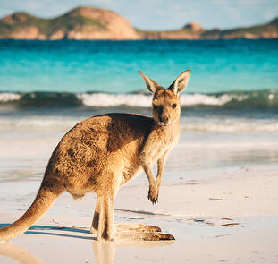 Australien in Style