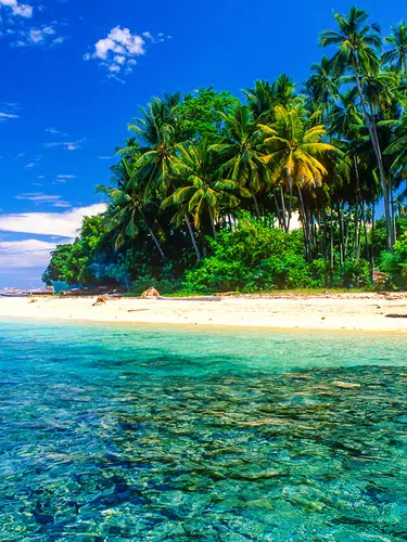 Faszinierendes Sulawesi