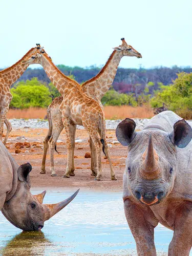 Namibia - von Windhoek zu den Victoria-Fällen privat