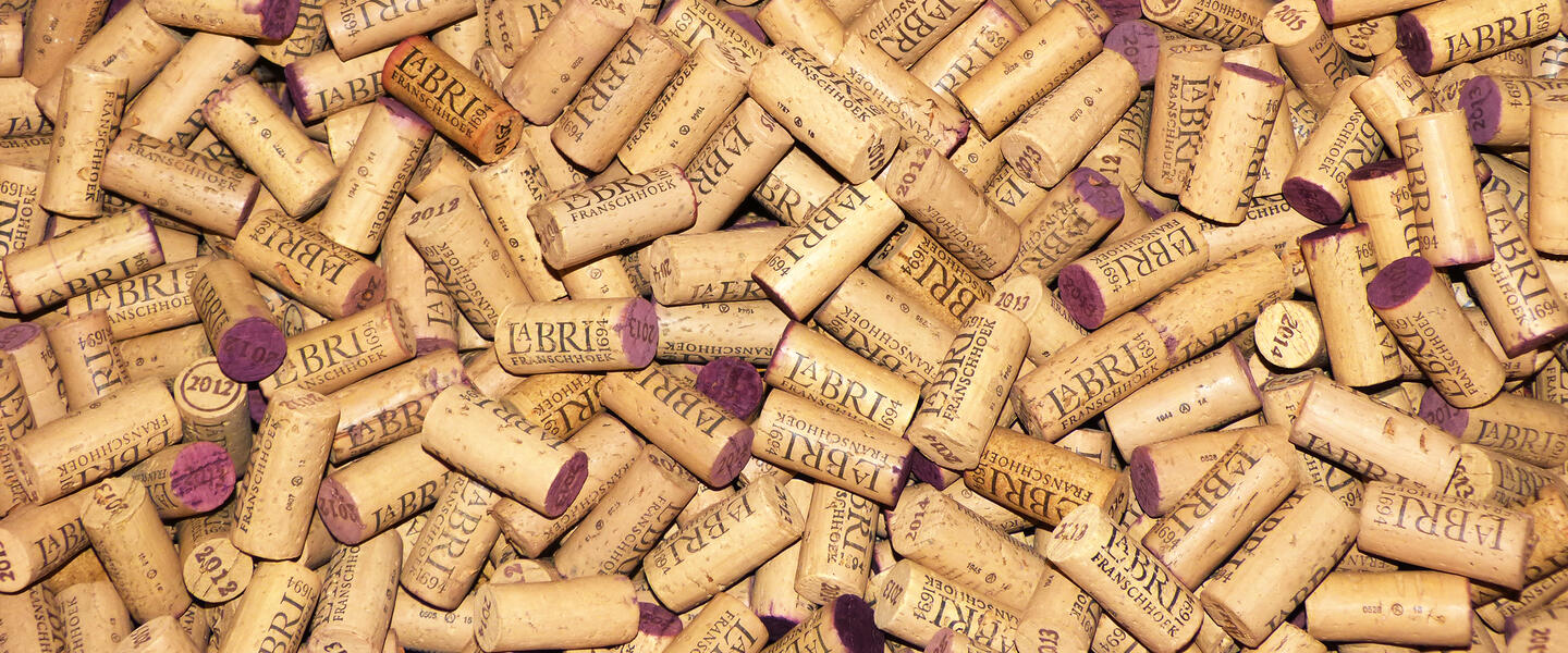 Südafrikas Süden erleben - von Port Elizabeth nach Kapstadt