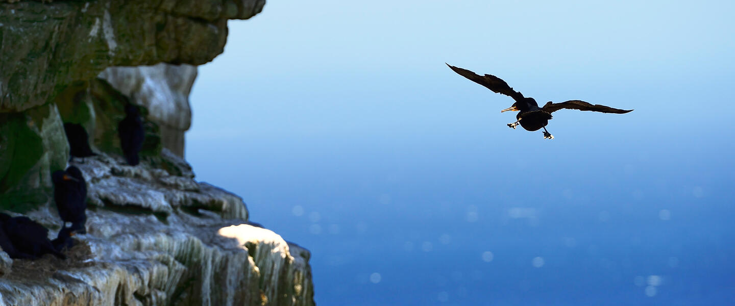 Südafrikas Süden erleben - von Port Elizabeth nach Kapstadt