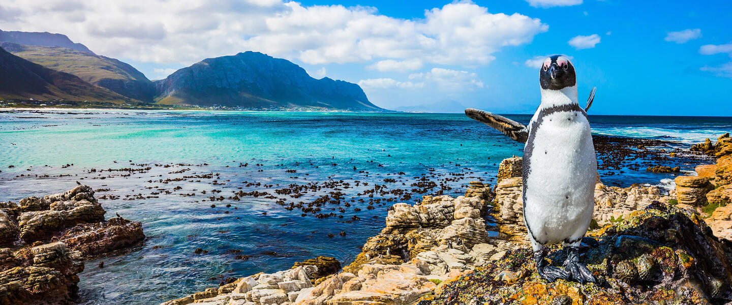 Südafrika Classics privat