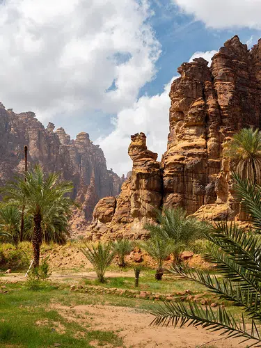 Saudi-Arabien - Wüste, Wadis, grüne Berglandschaften