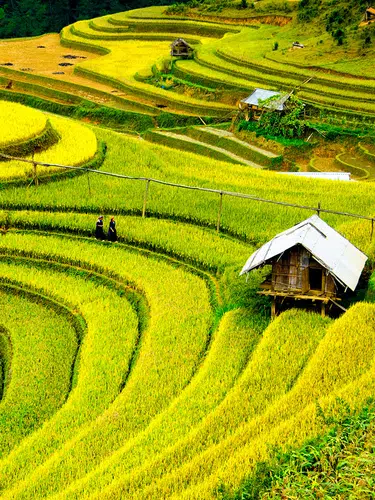 Charmantes Indochina für Genießer