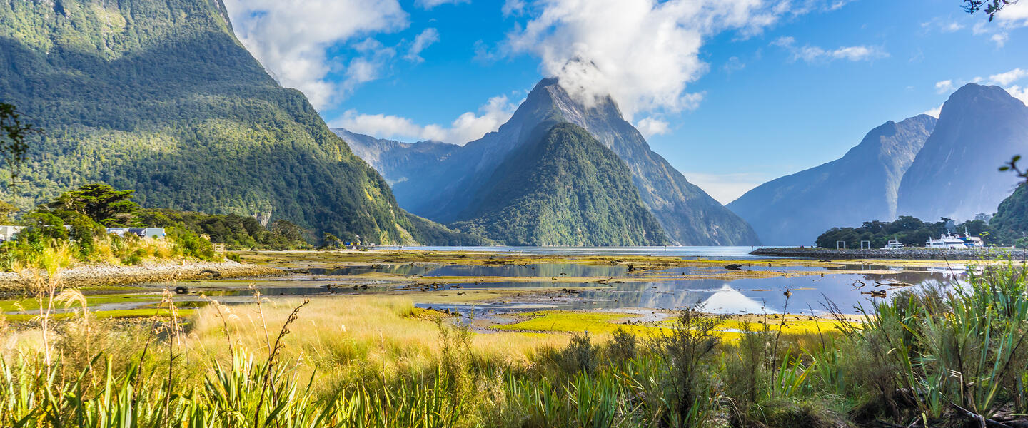 Neuseeländische Impressionen für Selbstfahrer - von Christchurch nach Auckland