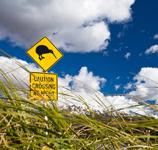 Bay of Islands ─ Neuseelands Inselparadies